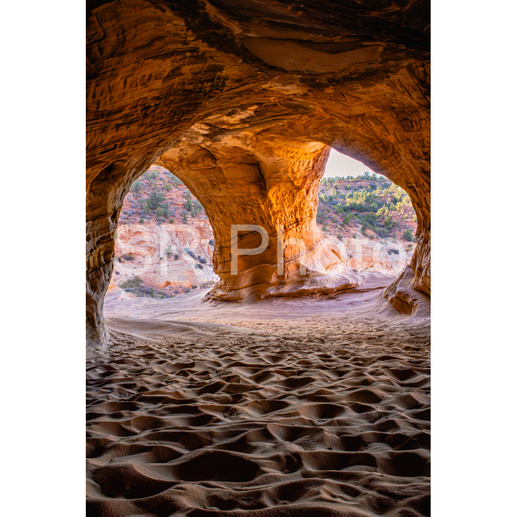 image_original_2a9e01941a9118ee54be6ff913bc1c6e.png