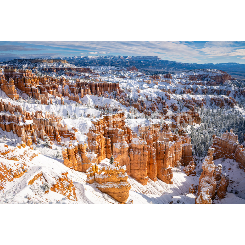 image_original_2a9e01941a9118ee54be6ff913bc1c6e.png