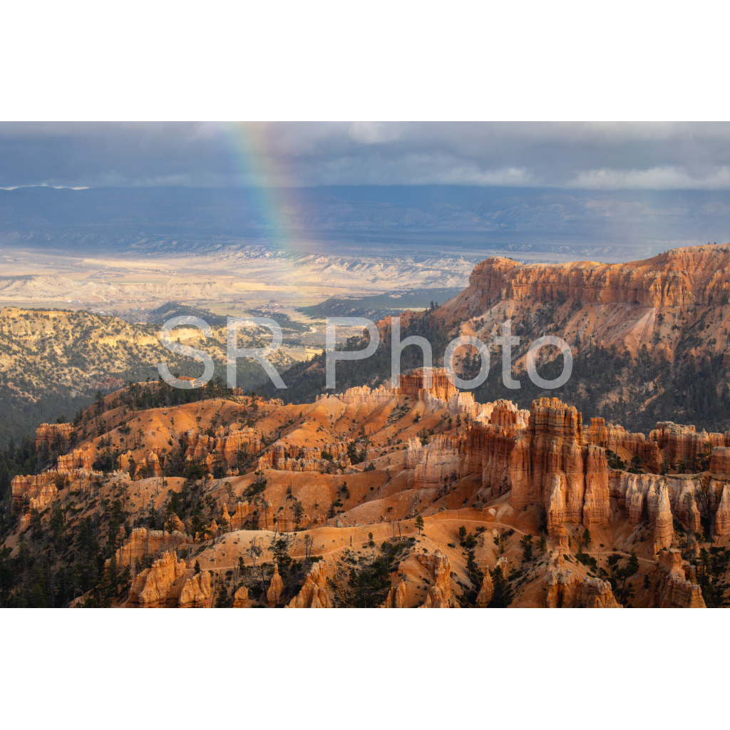 image_original_2a9e01941a9118ee54be6ff913bc1c6e.png