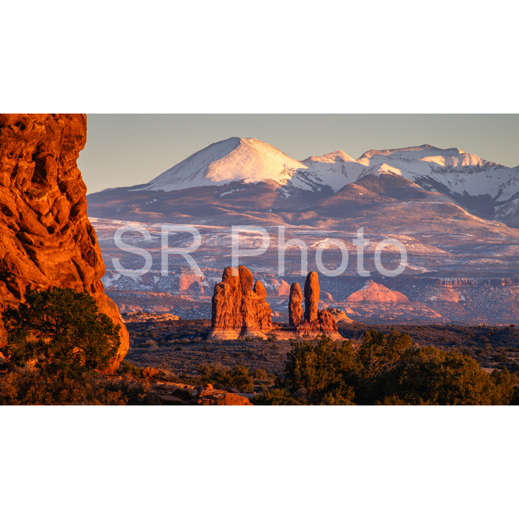 image_original_2a9e01941a9118ee54be6ff913bc1c6e.png