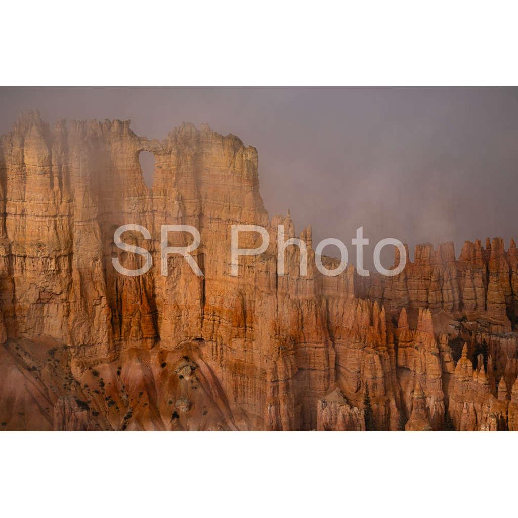 image_original_2a9e01941a9118ee54be6ff913bc1c6e.png