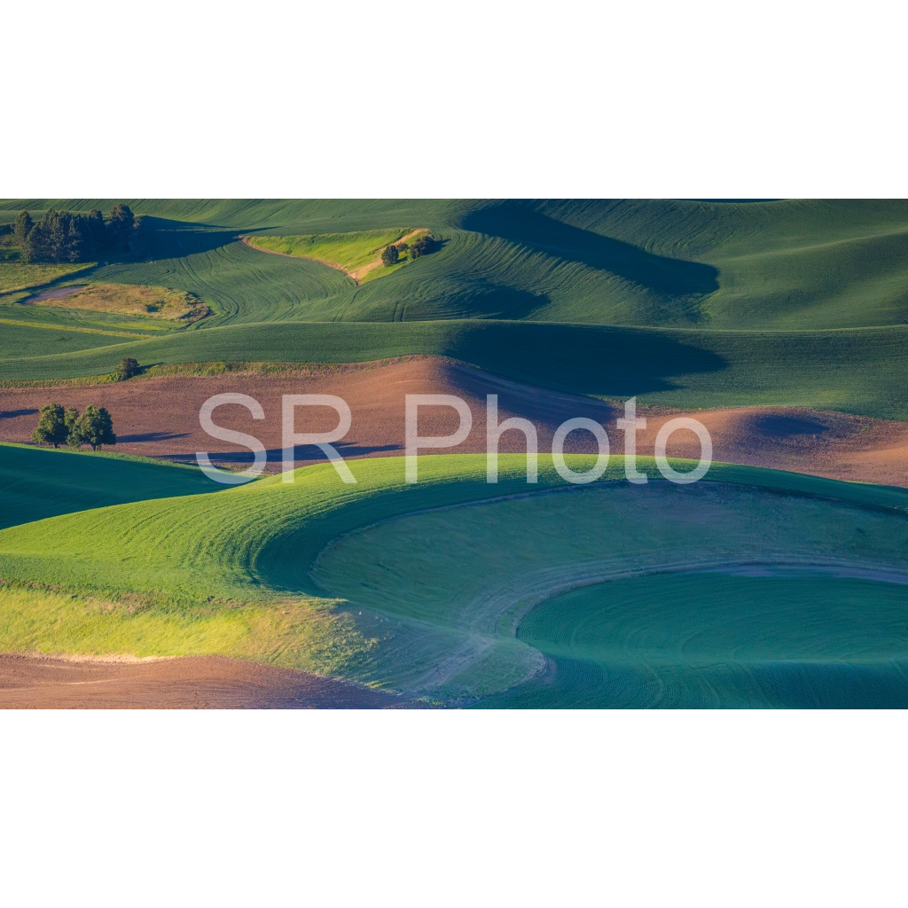 image_original_2a9e01941a9118ee54be6ff913bc1c6e.png