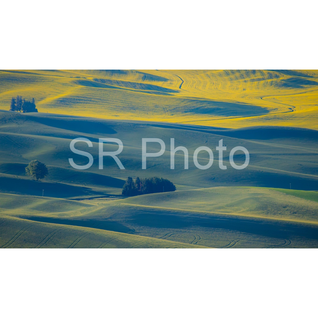 image_original_2a9e01941a9118ee54be6ff913bc1c6e.png