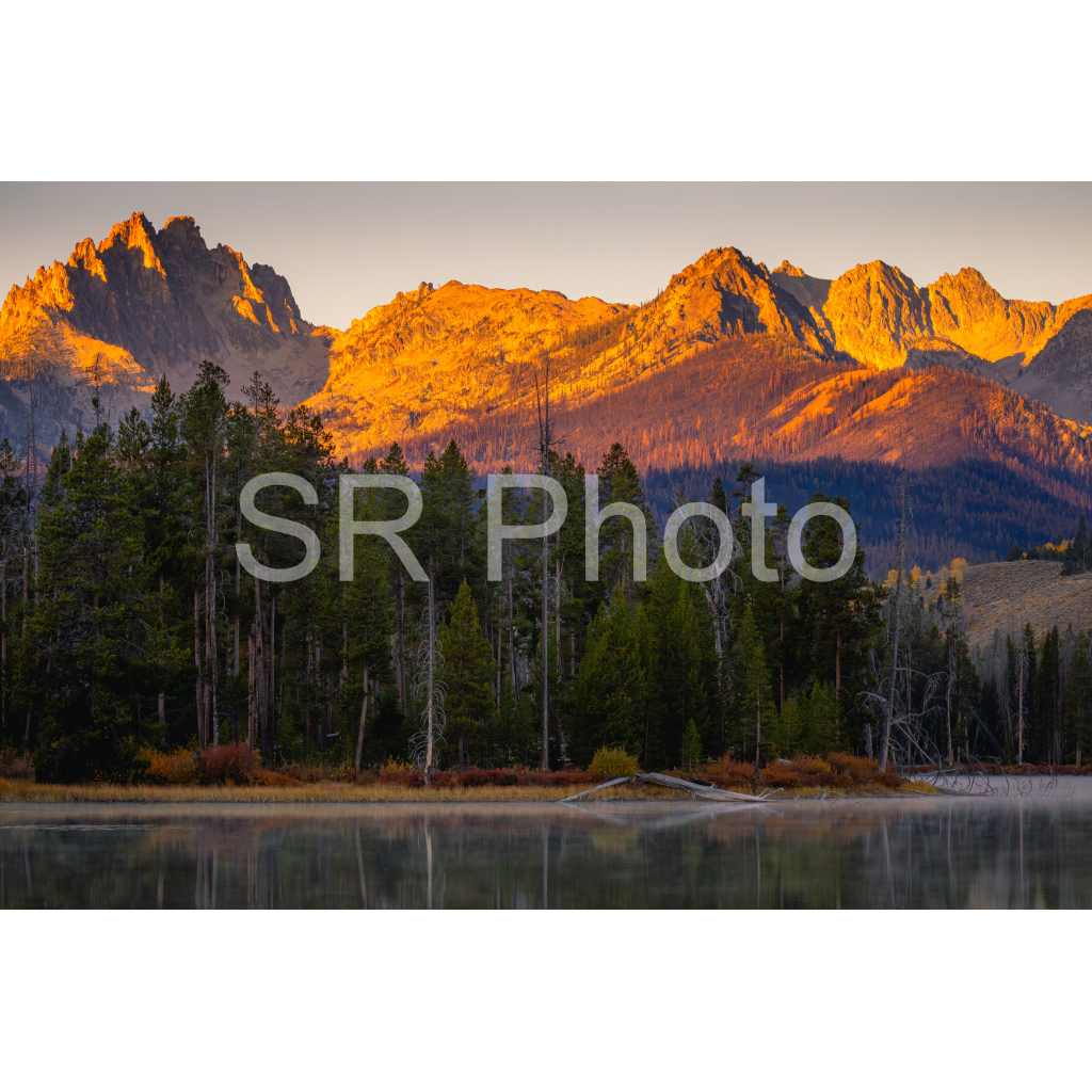 image_original_2a9e01941a9118ee54be6ff913bc1c6e.png