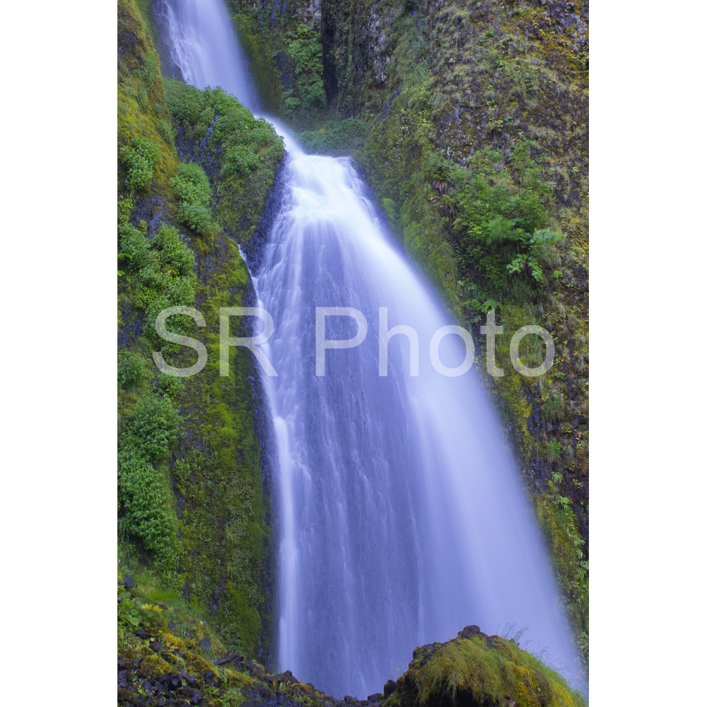 image_original_2a9e01941a9118ee54be6ff913bc1c6e.png