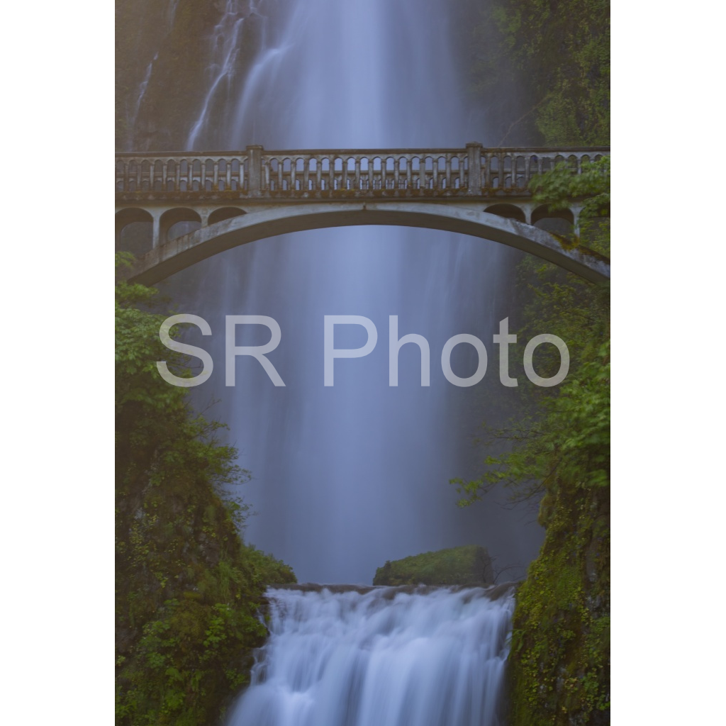 image_original_2a9e01941a9118ee54be6ff913bc1c6e.png