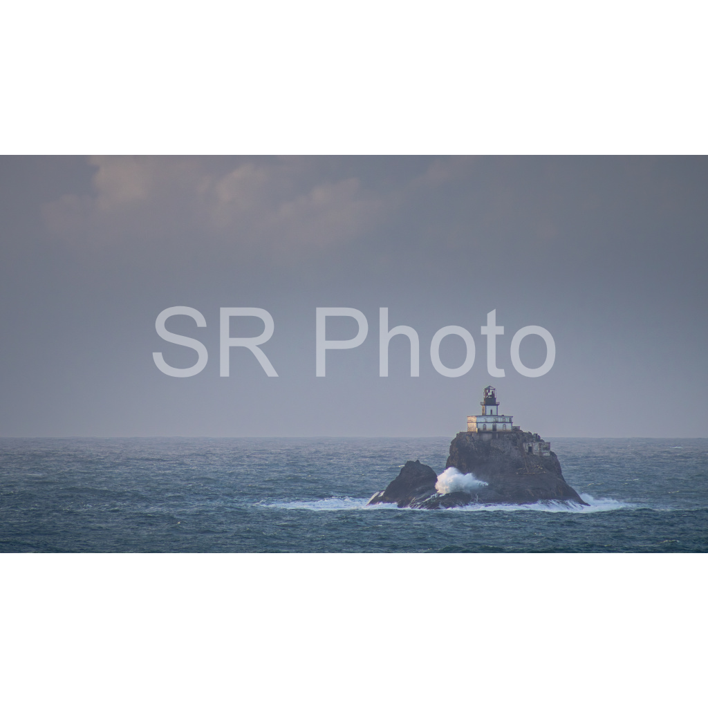 image_original_2a9e01941a9118ee54be6ff913bc1c6e.png