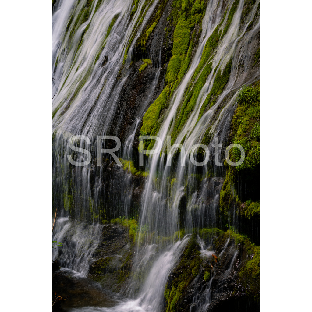 image_original_2a9e01941a9118ee54be6ff913bc1c6e.png