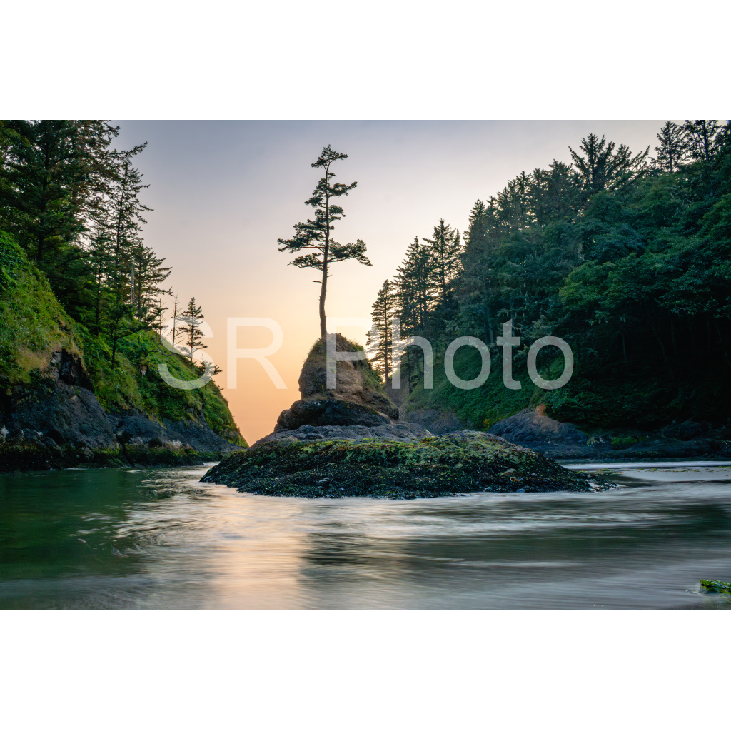 image_original_2a9e01941a9118ee54be6ff913bc1c6e.png