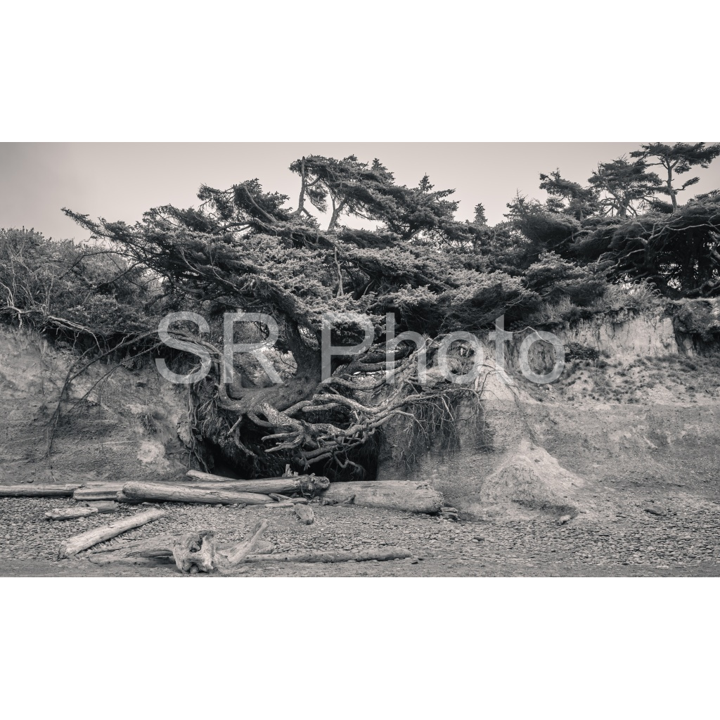 image_original_2a9e01941a9118ee54be6ff913bc1c6e.png