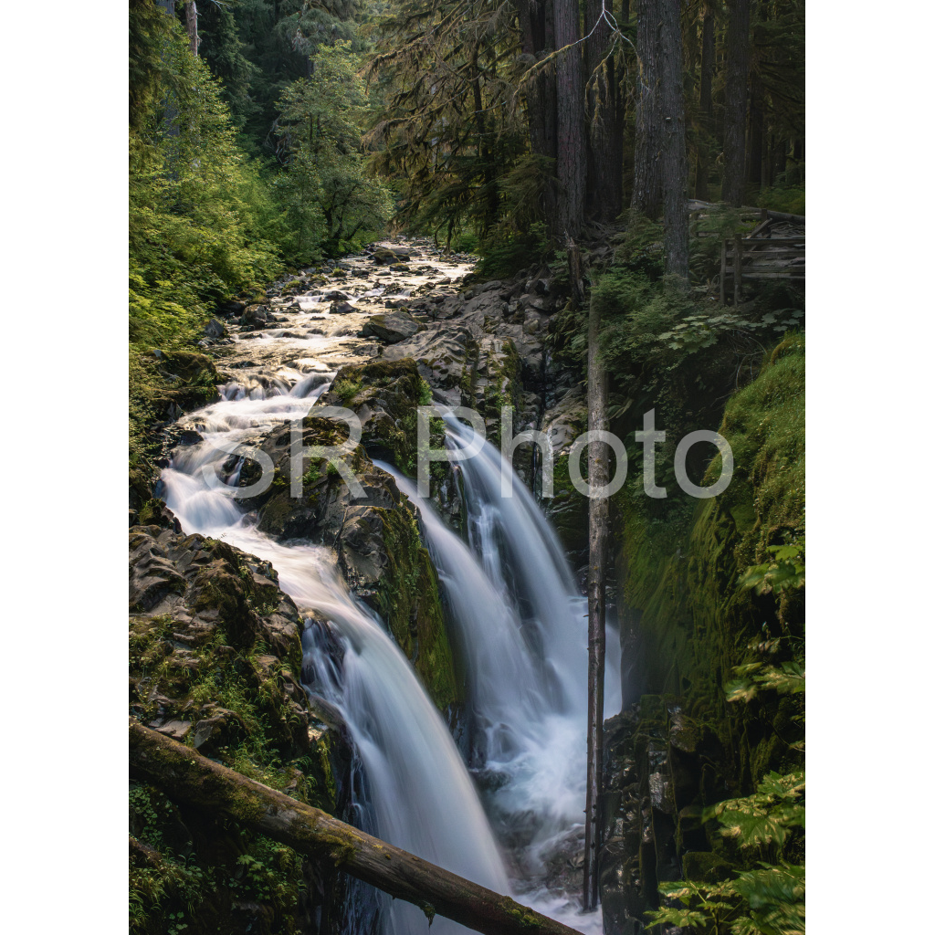 image_original_2a9e01941a9118ee54be6ff913bc1c6e.png