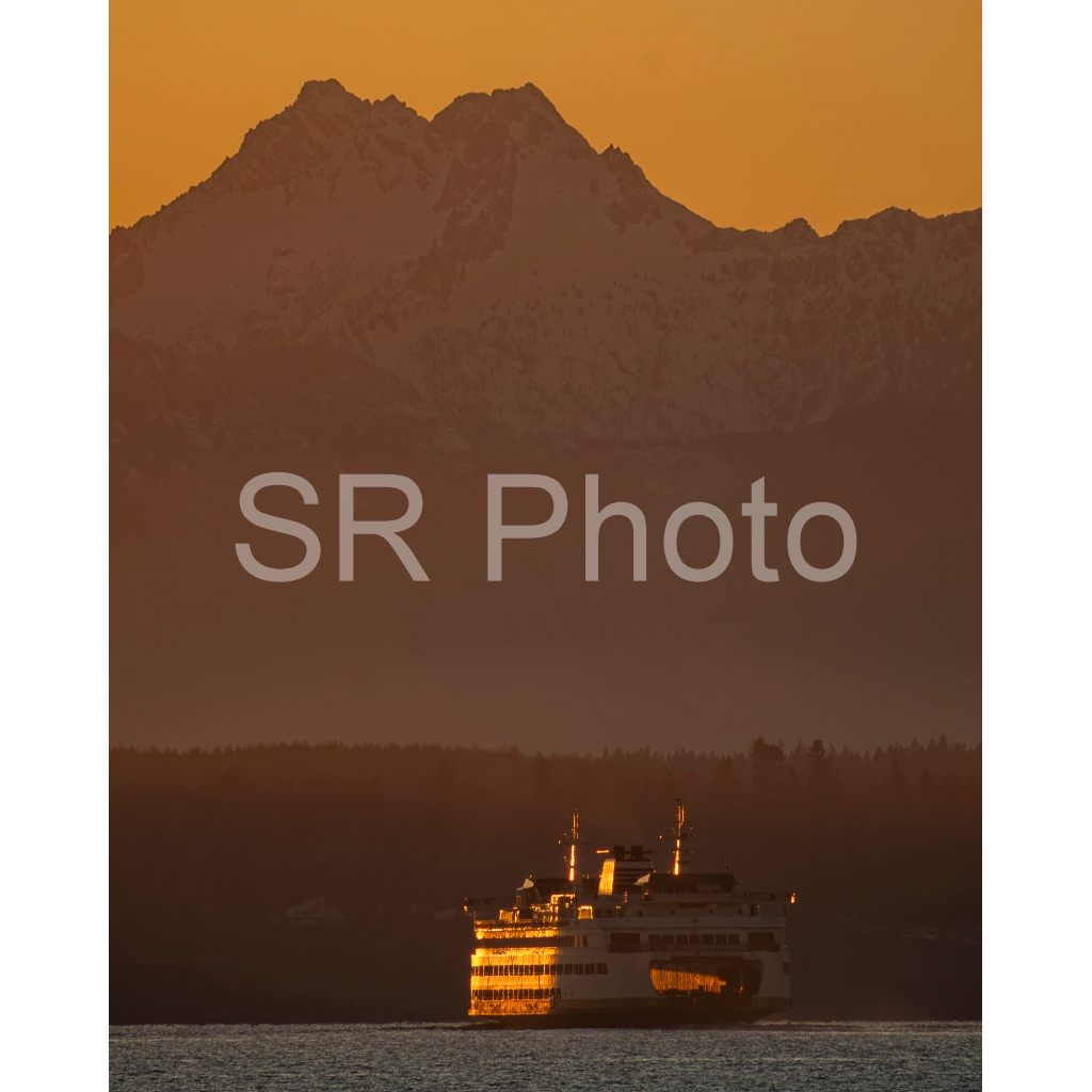image_original_2a9e01941a9118ee54be6ff913bc1c6e.png