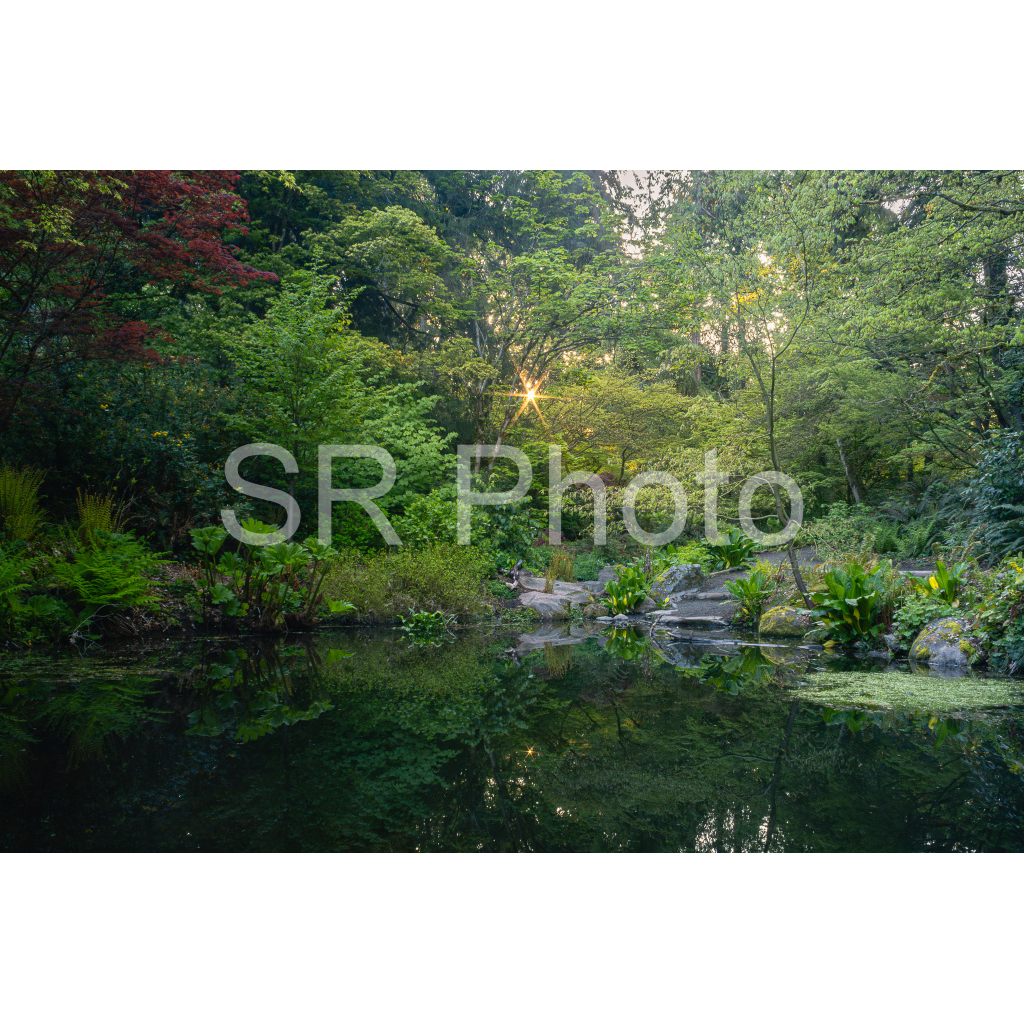 image_original_2a9e01941a9118ee54be6ff913bc1c6e.png