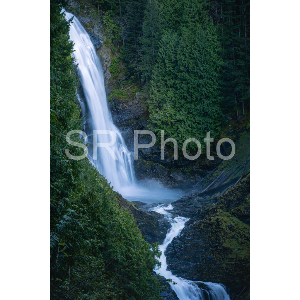 image_original_2a9e01941a9118ee54be6ff913bc1c6e.png