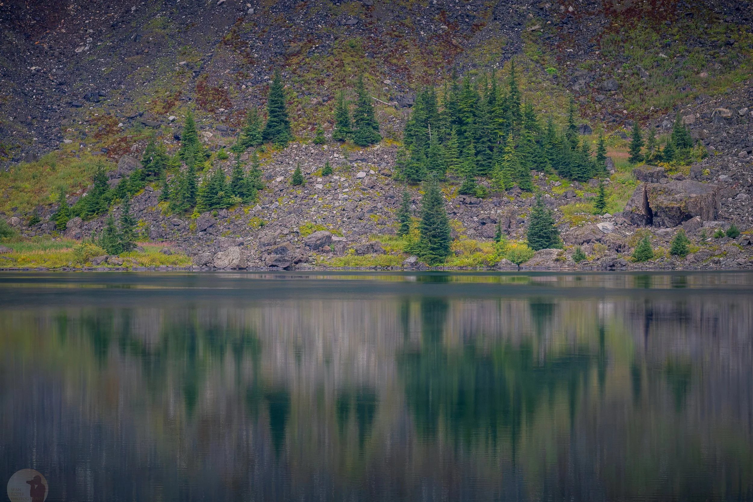 Relfection of trees in Lake Twenty-Two