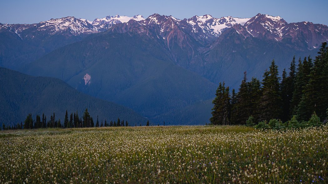 Hurricane Ridge Horizantal-2.jpg