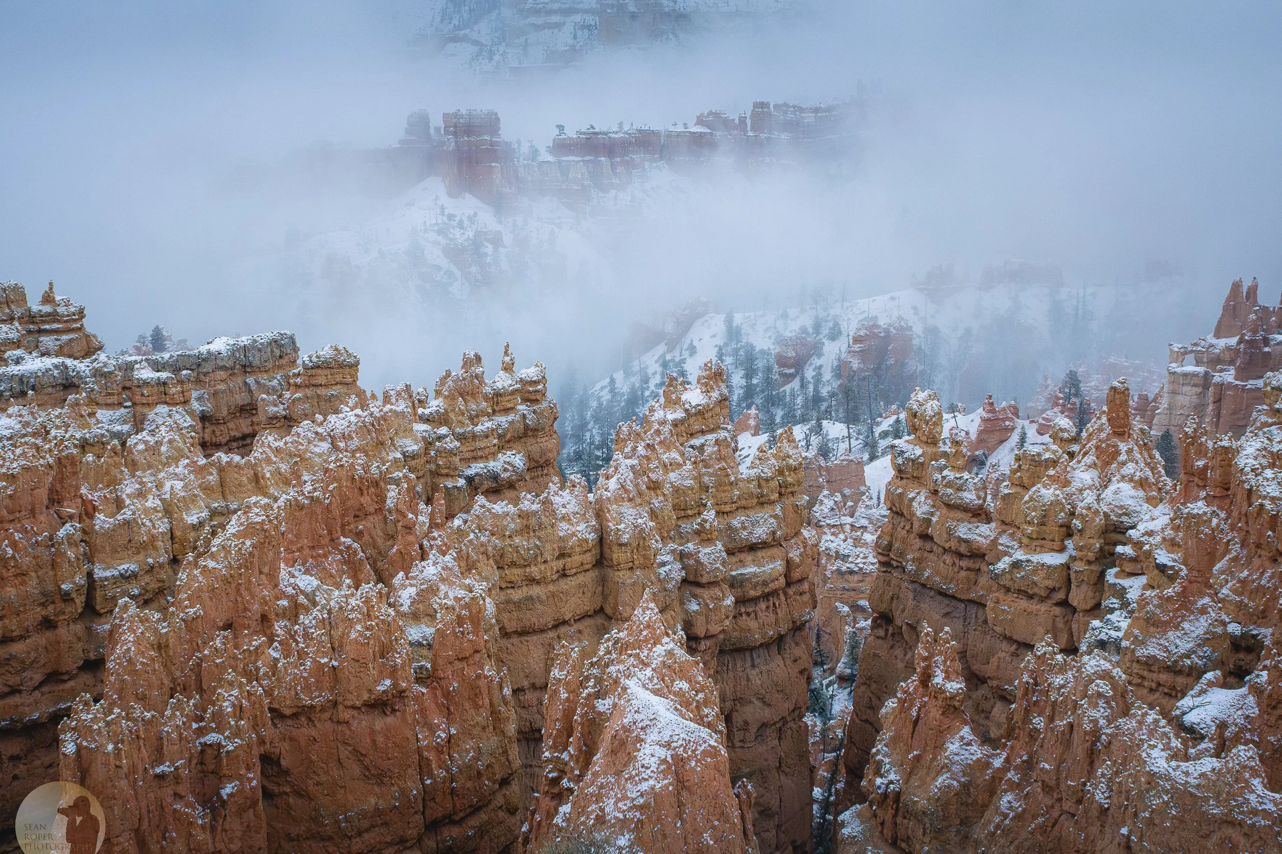 Bryce Snow Fog watermark.jpg