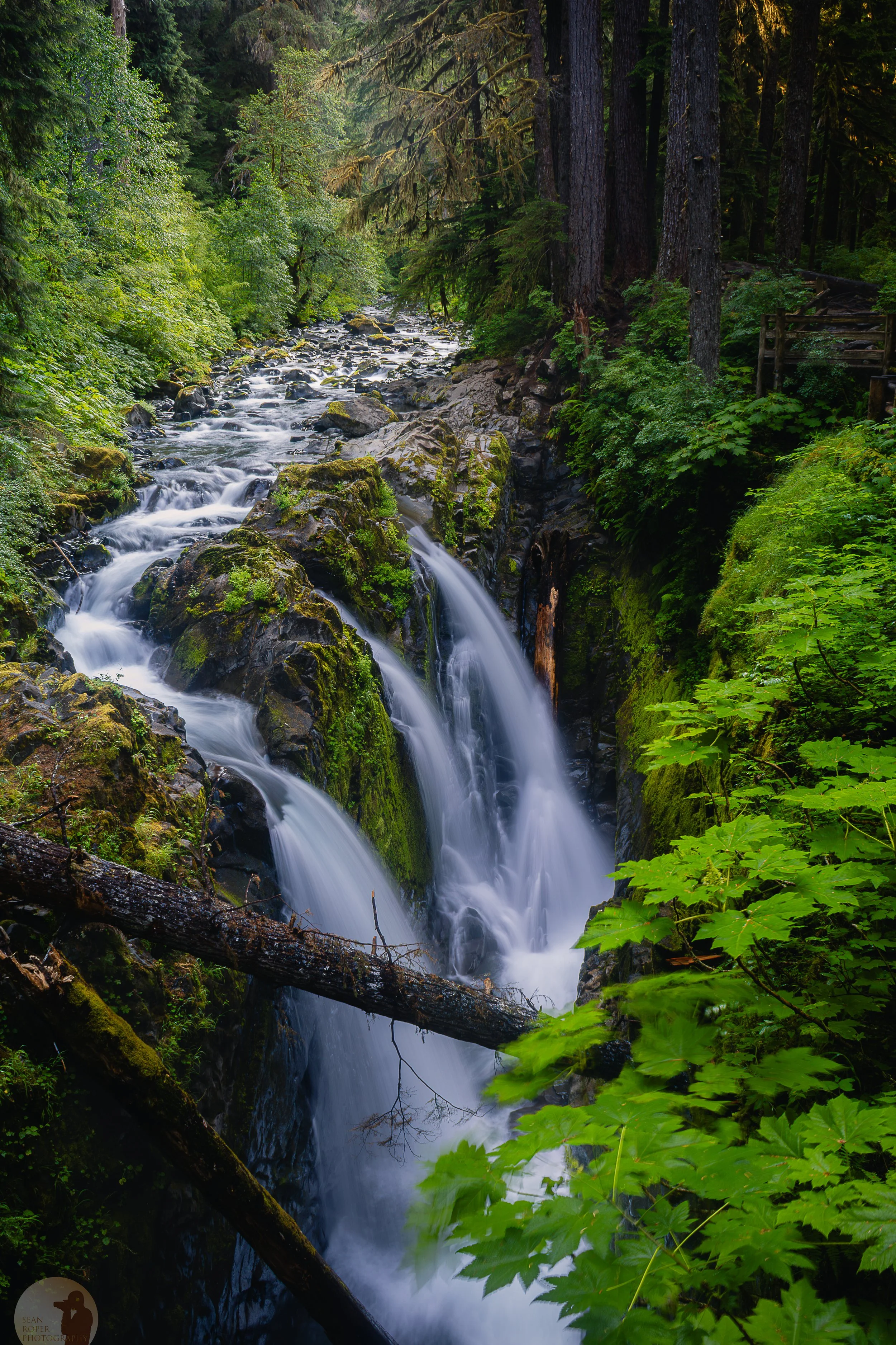 Sol Duc Falls watermark.jpg