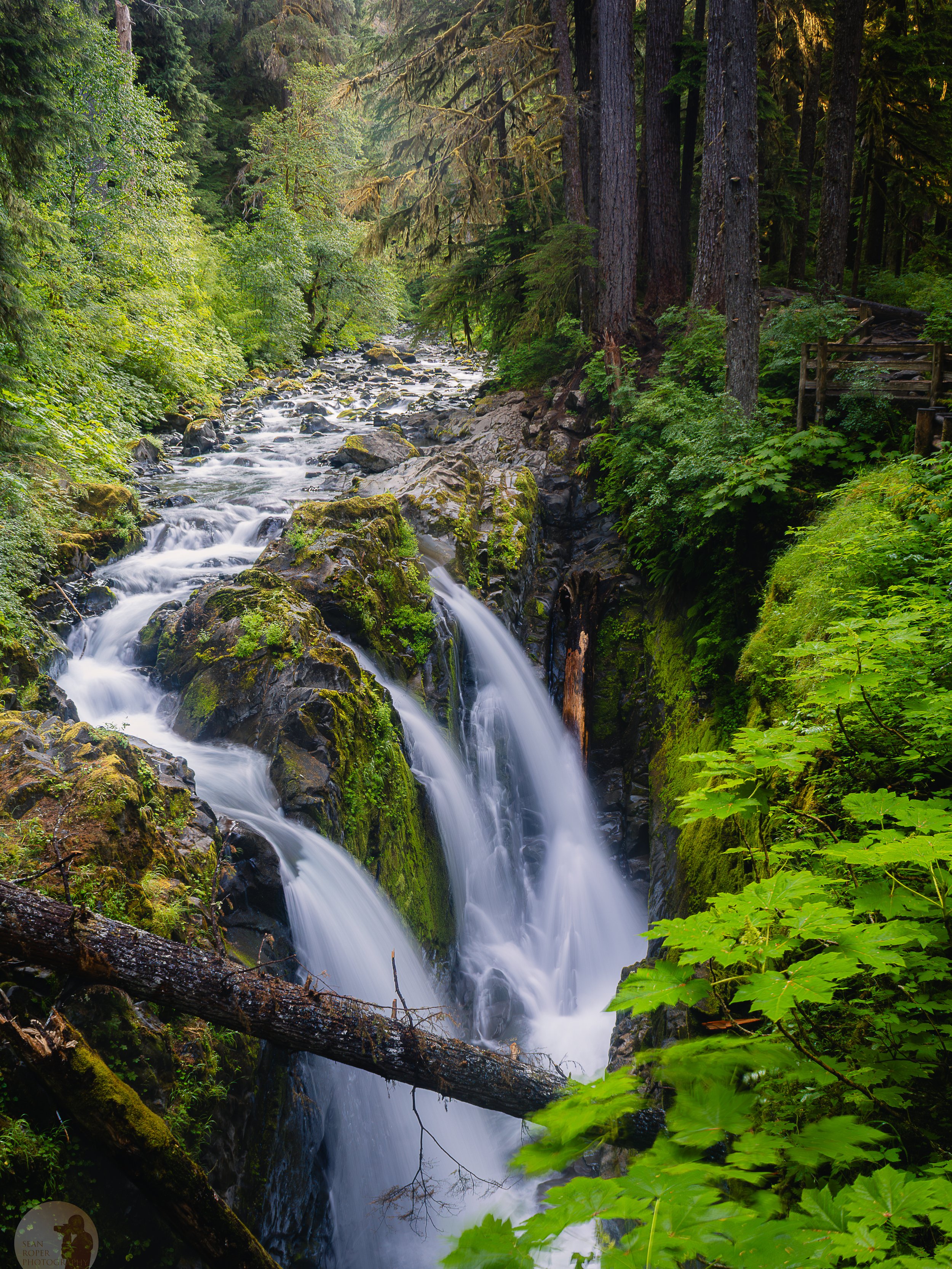 Waterfall in the Olympic forest