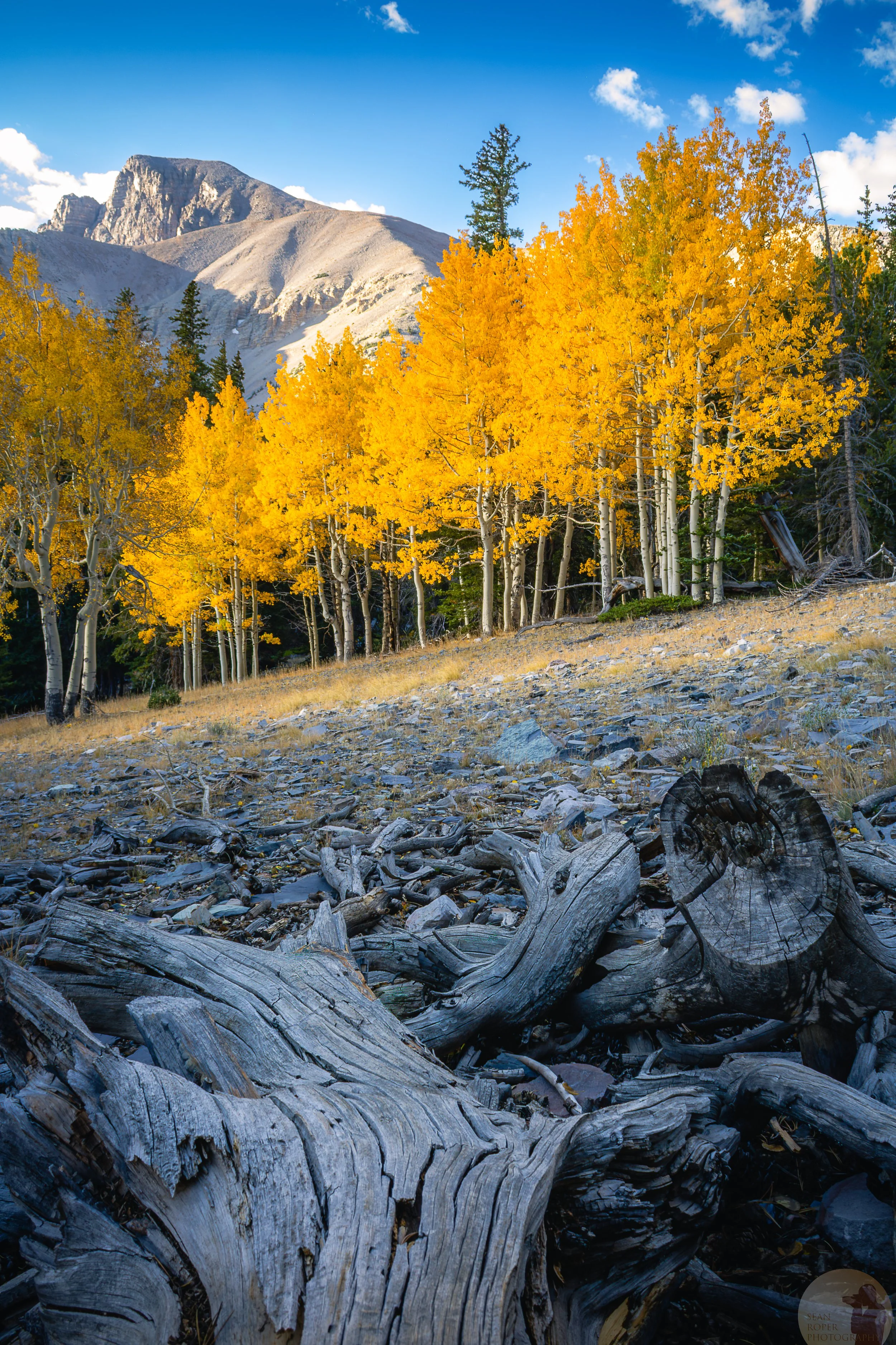 Great Basin Autumn watermark.jpg