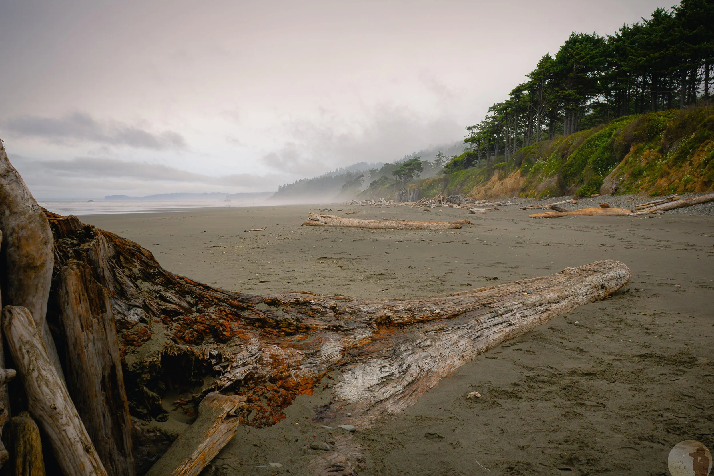 Kalaloch Beach watermark.jpg