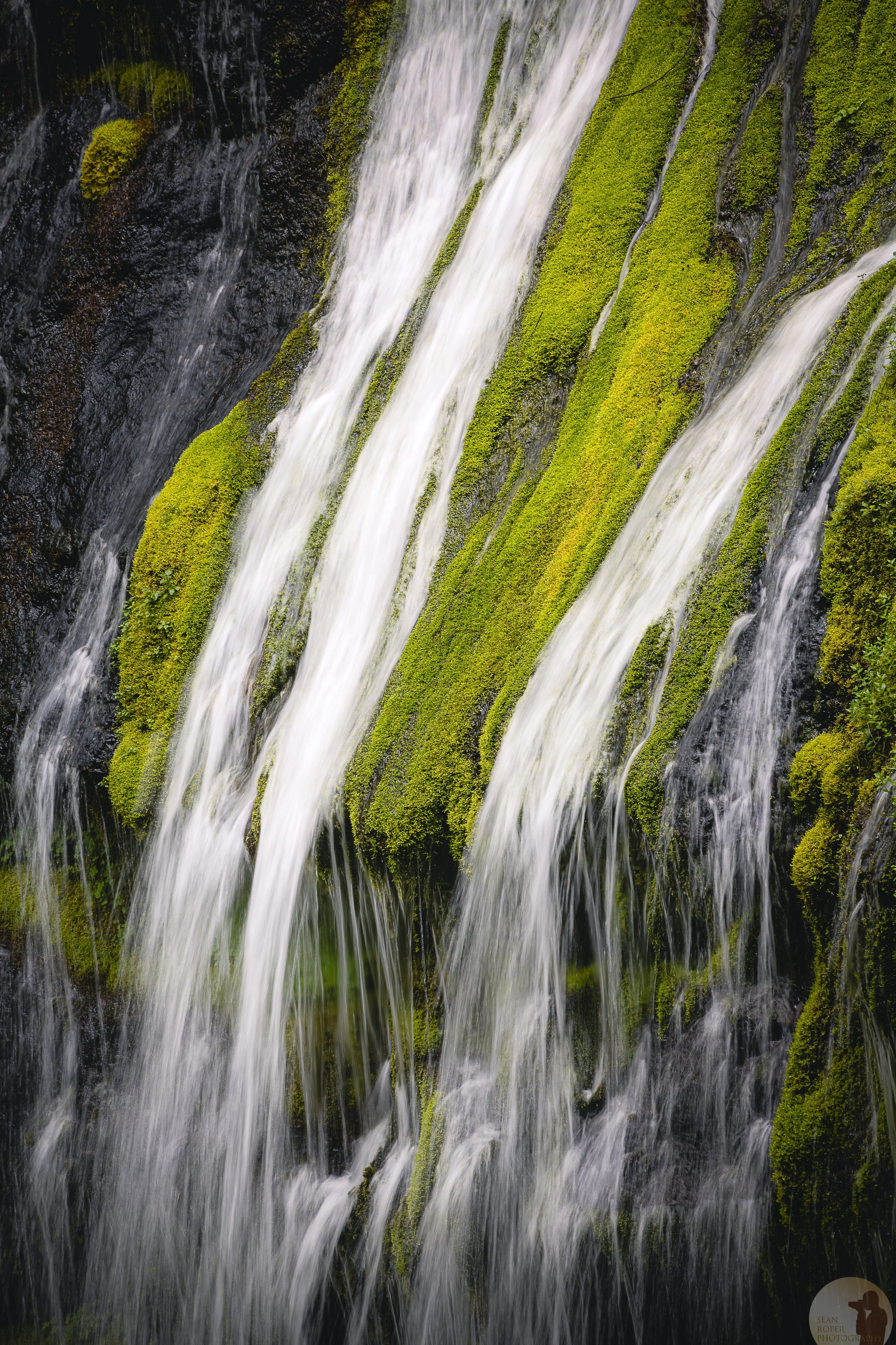 Panther Creek Falls Zoom watermark.jpg