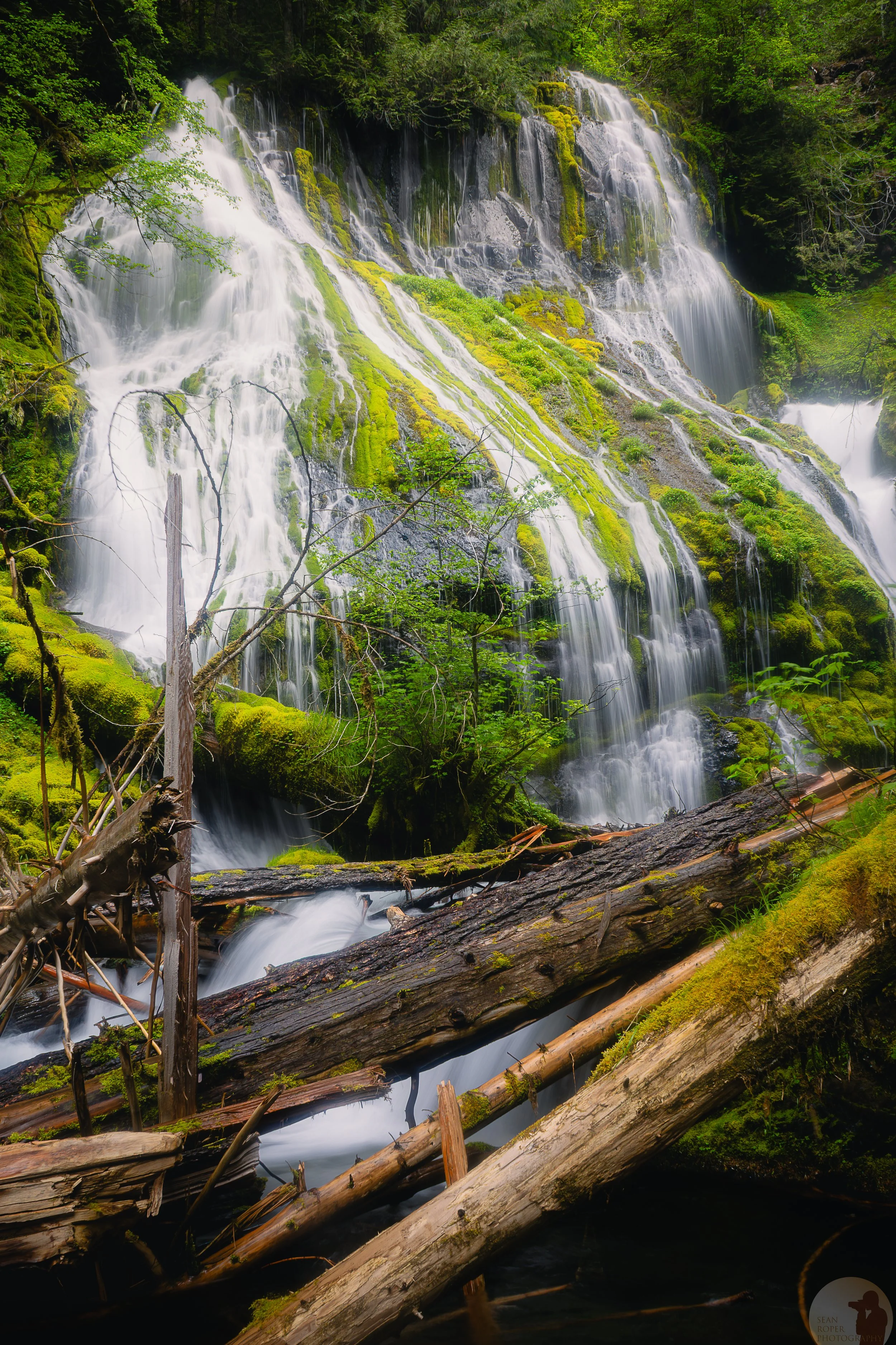 Forest Falls on the Columbia Gorge