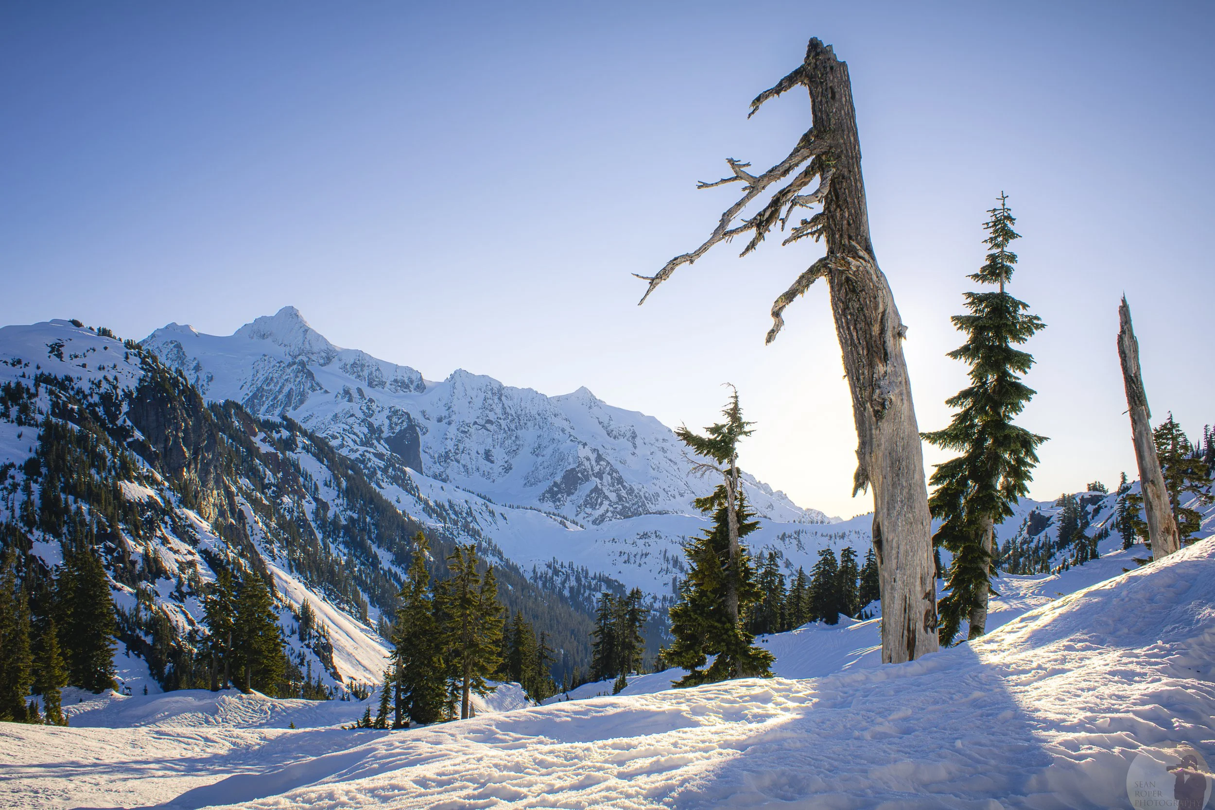 Shusksan Snow watermarkl.jpg