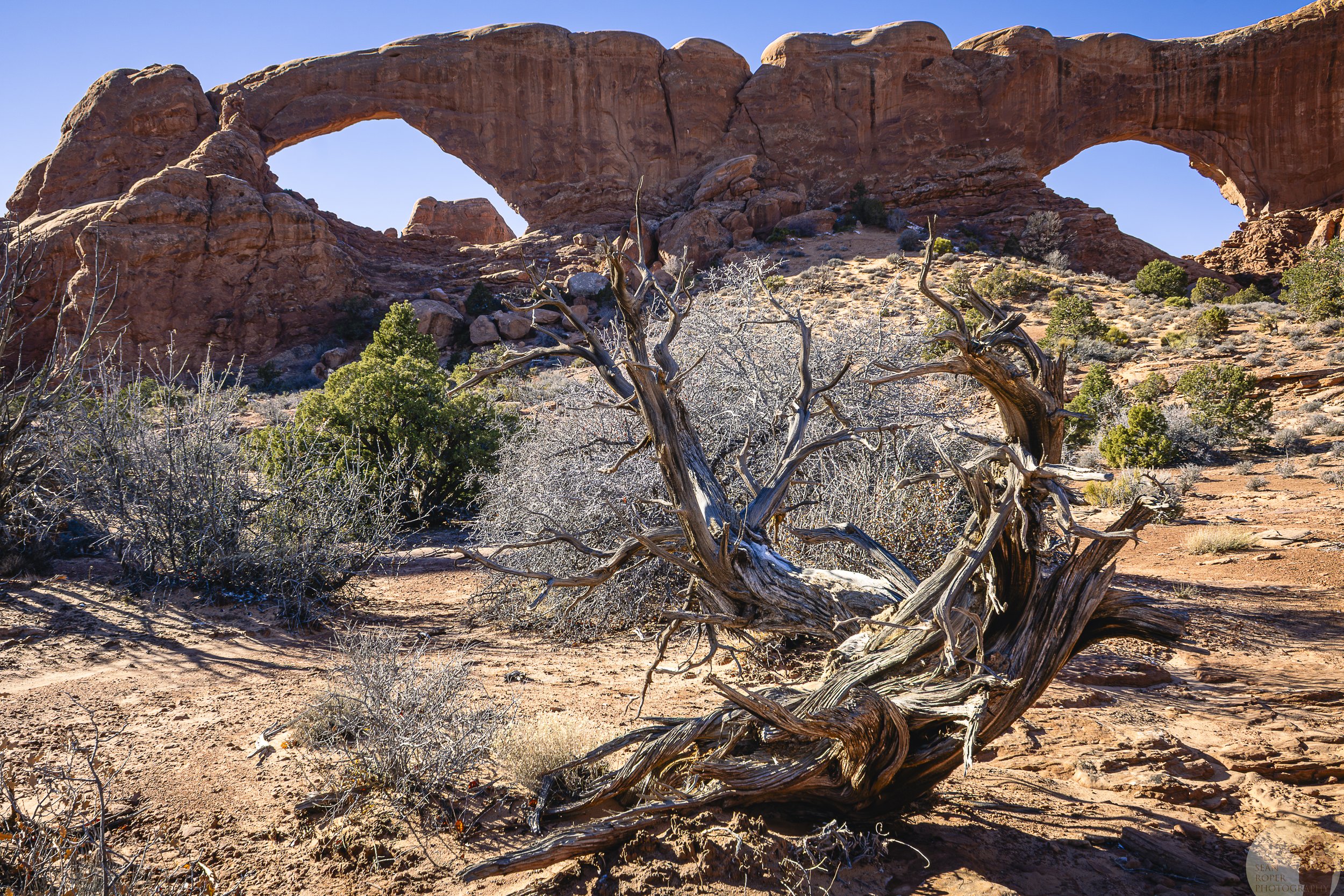 The Windows watermark.jpg