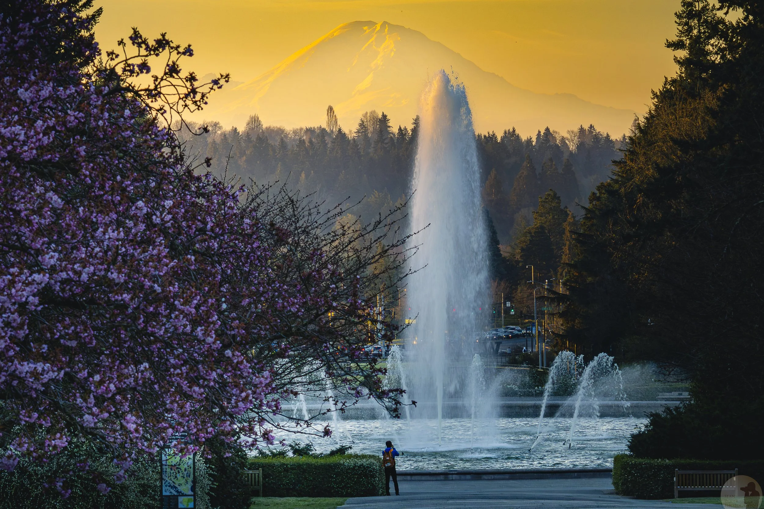 Drumheller Fountain at the University of Washington. Seattle, Washington