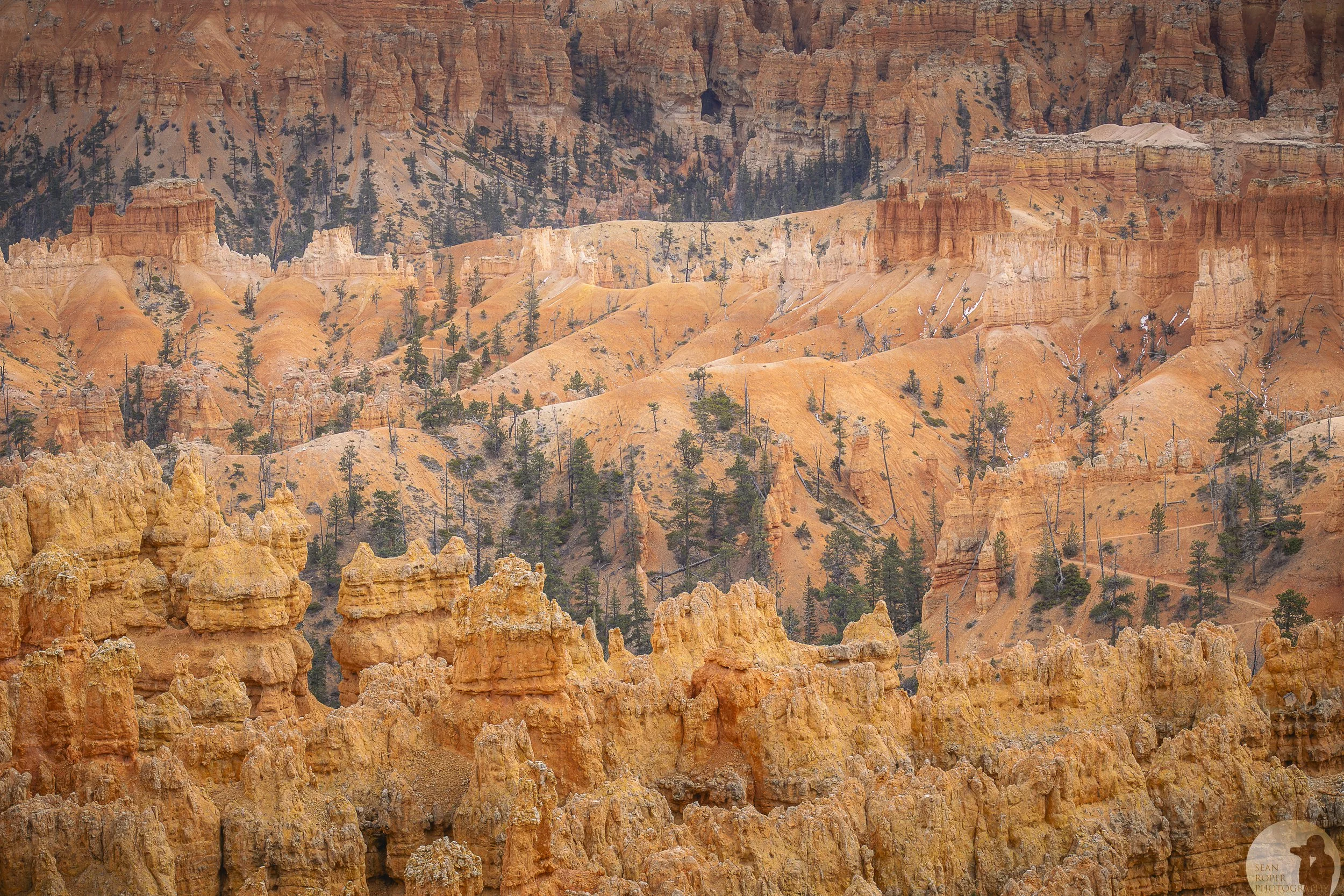 Bryce Layers watermark.jpg