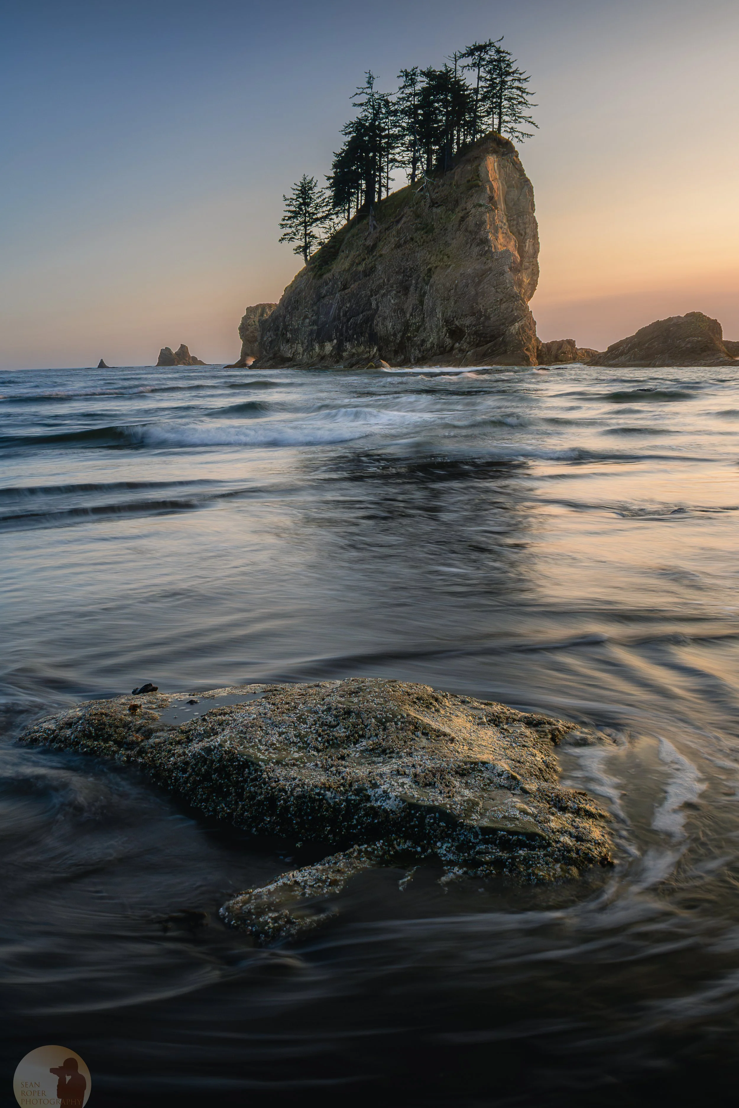 Seastack on the Olympic coast