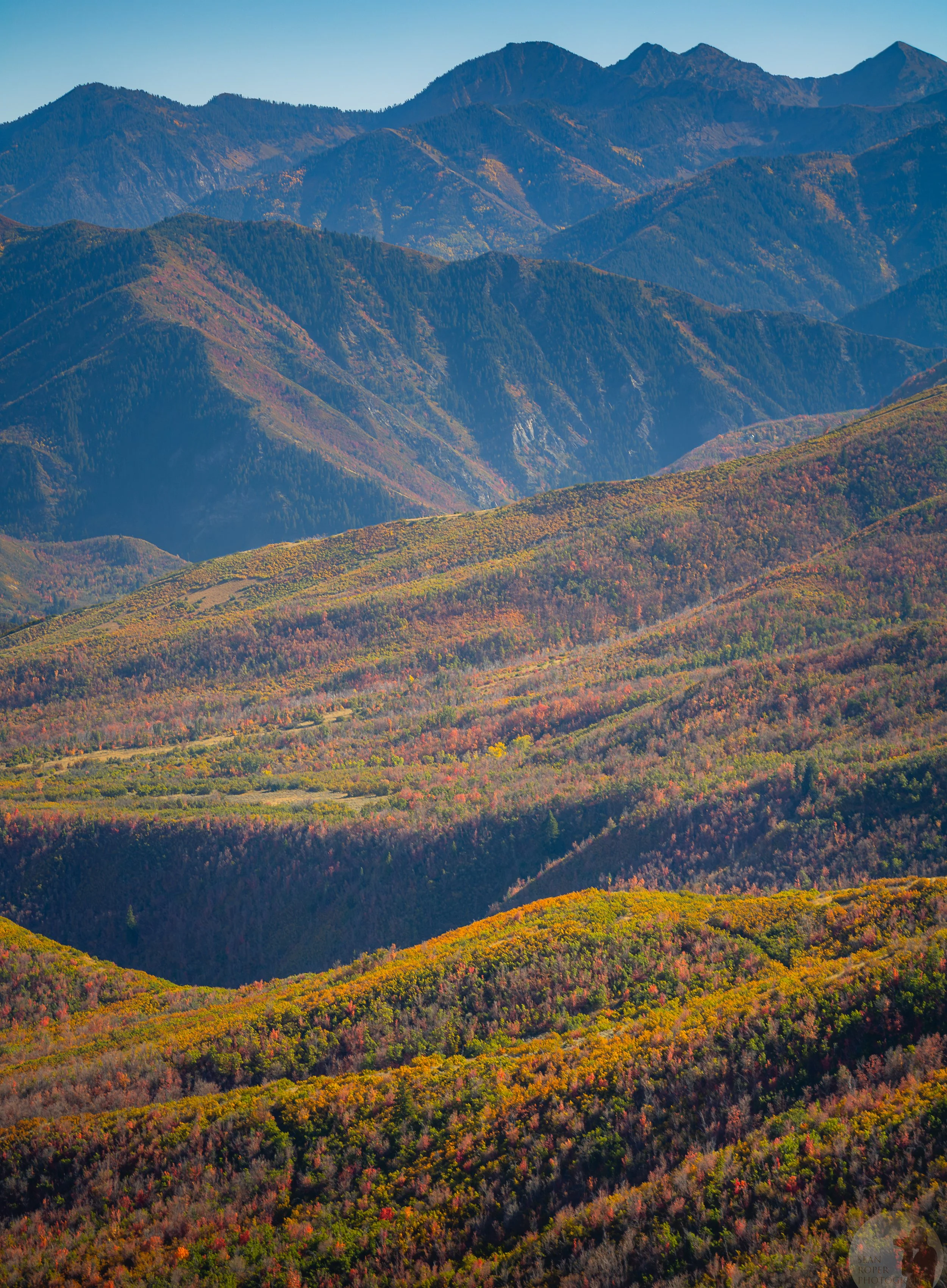 Autumn in the Wasatch Mountains