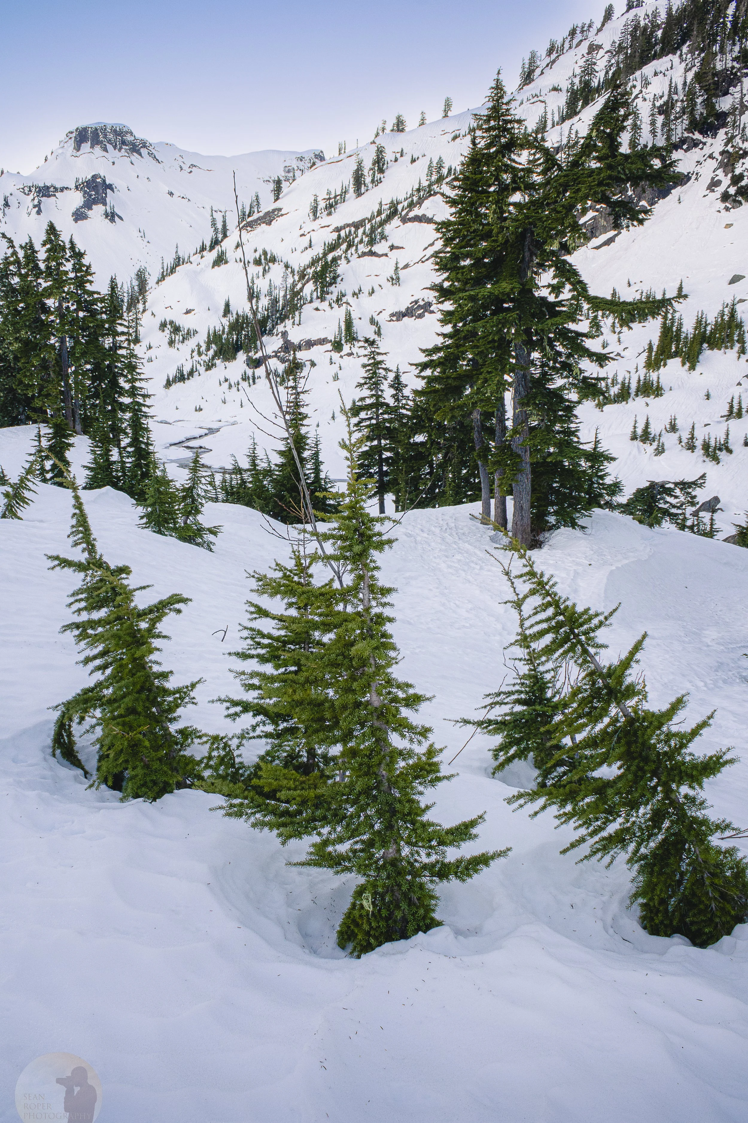 Bagley Lakes Vertical watermark.jpg