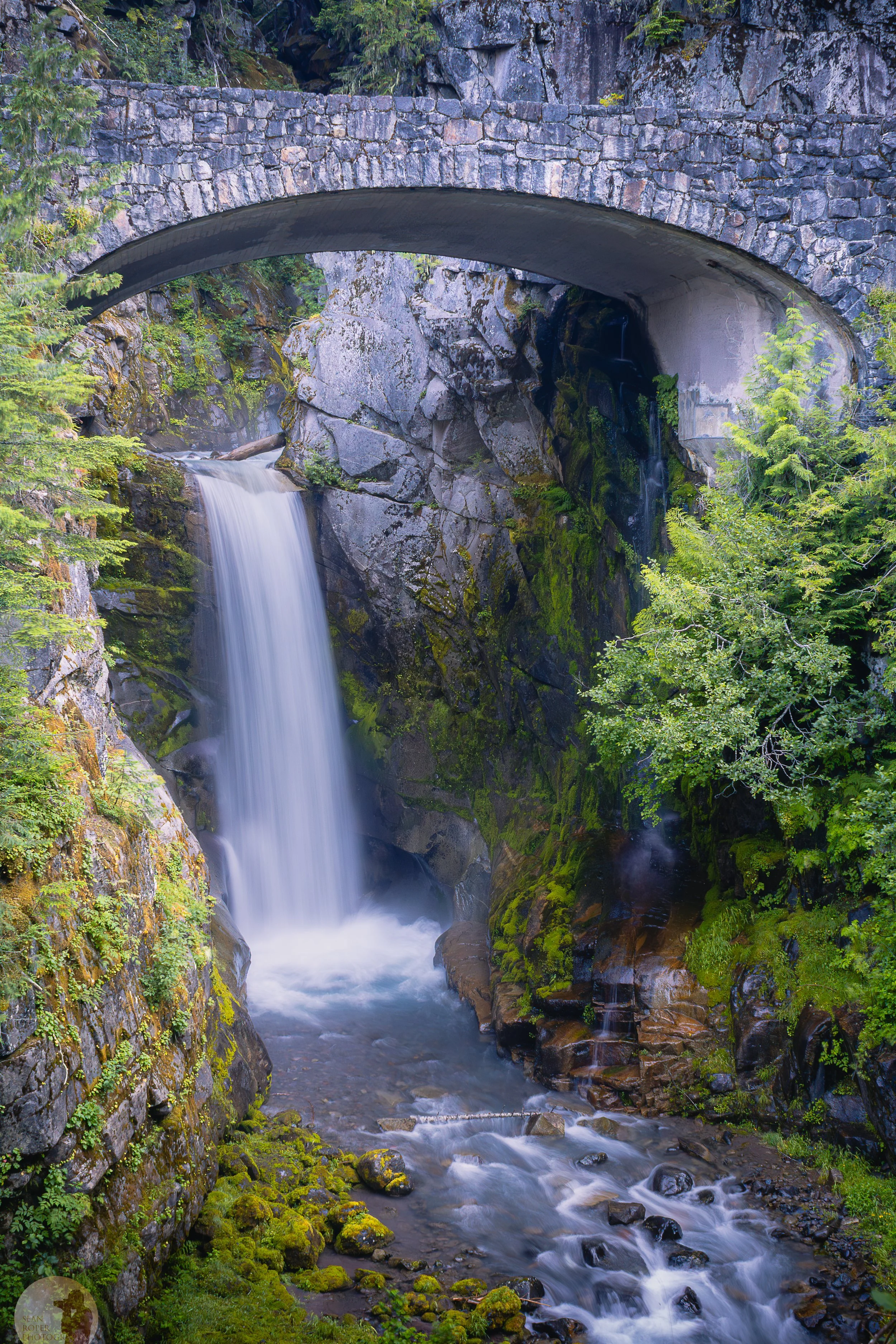 Christine Falls