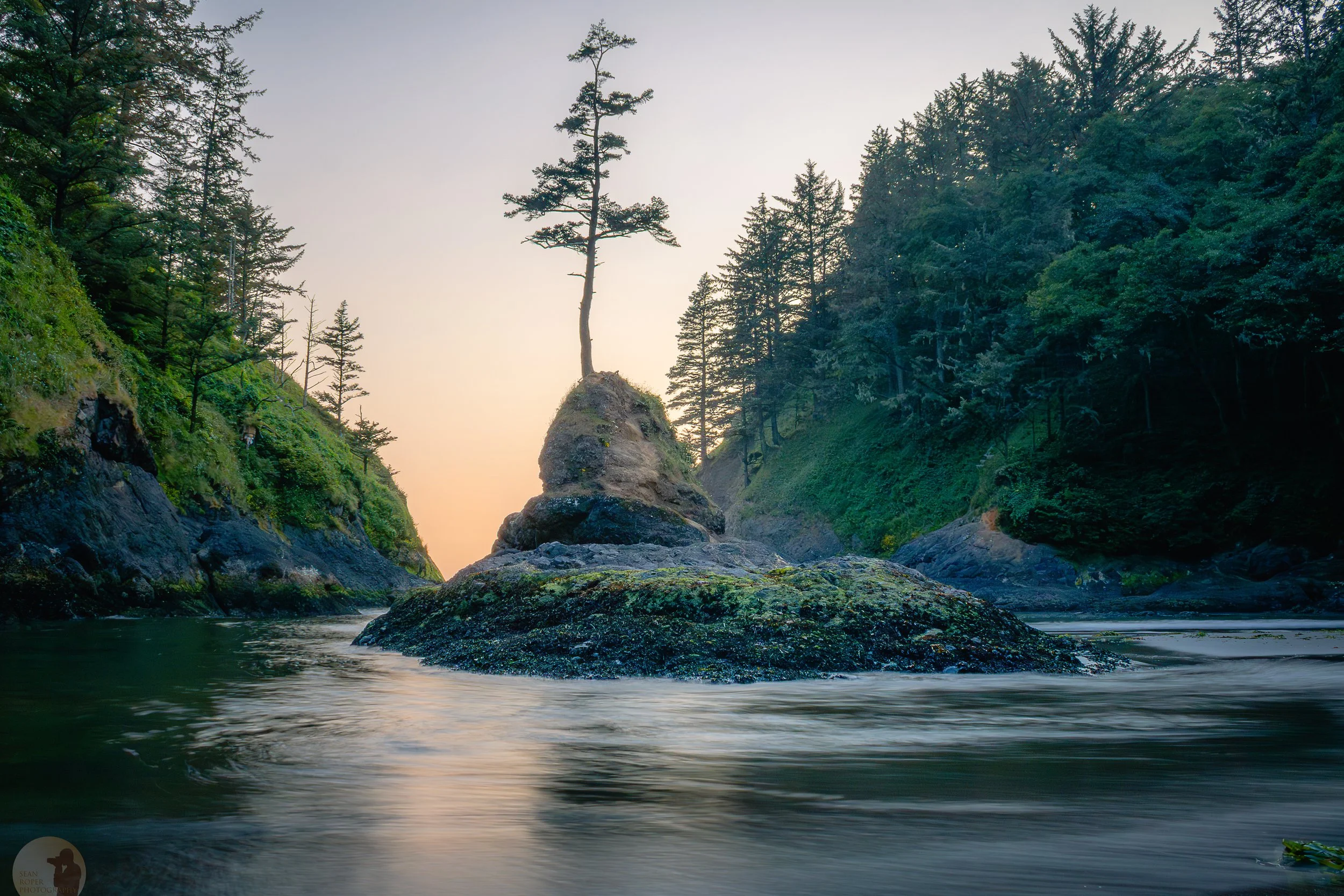 Dead Man's Cove watermark.jpg