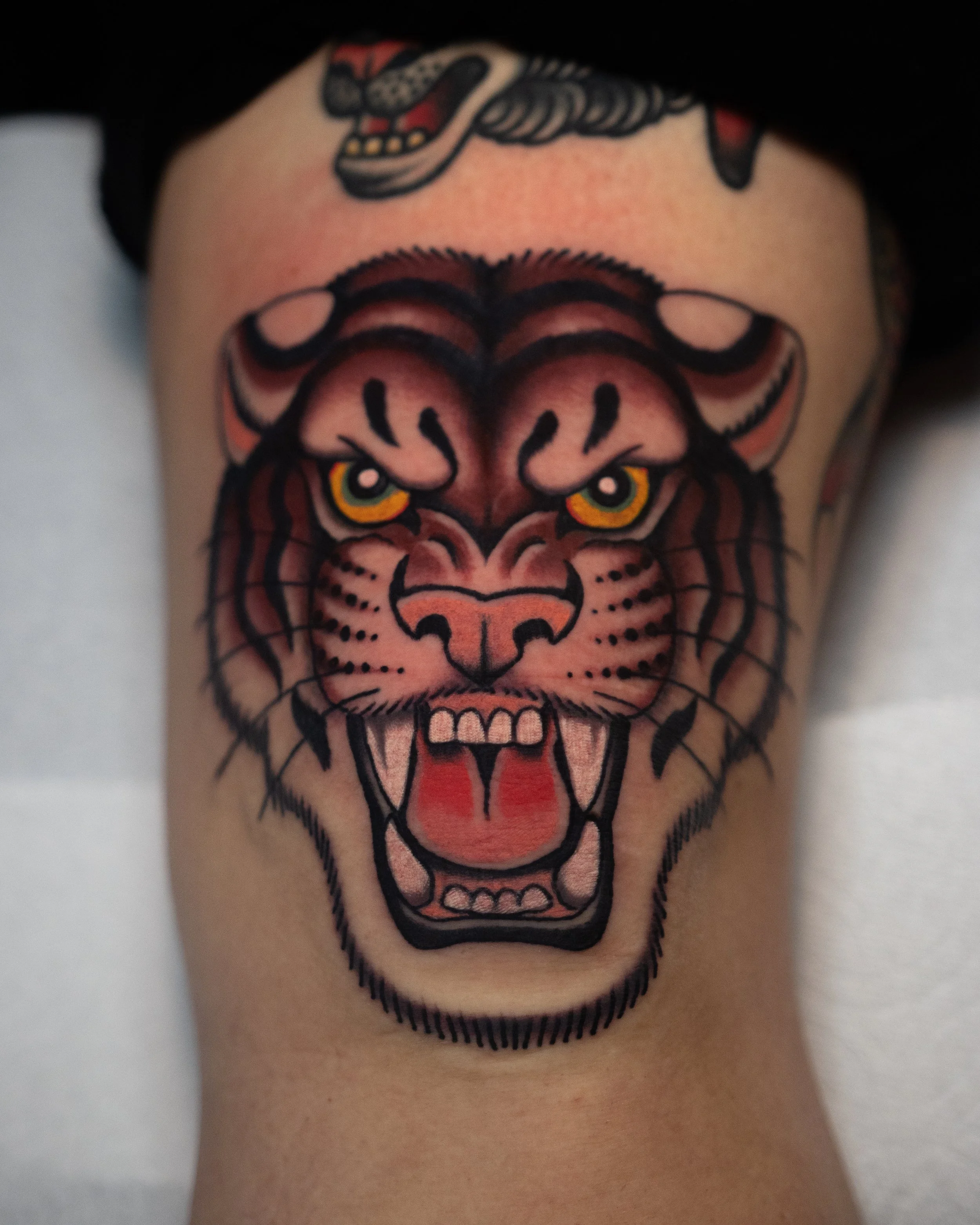 Tattoo of a snarling tiger's head on a person's leg, showing detailed fur, green eyes, and an open mouth with sharp teeth. Done at San Luis Tattoo Company by Danny Derrick in San Luis Obispo, CA SLO.