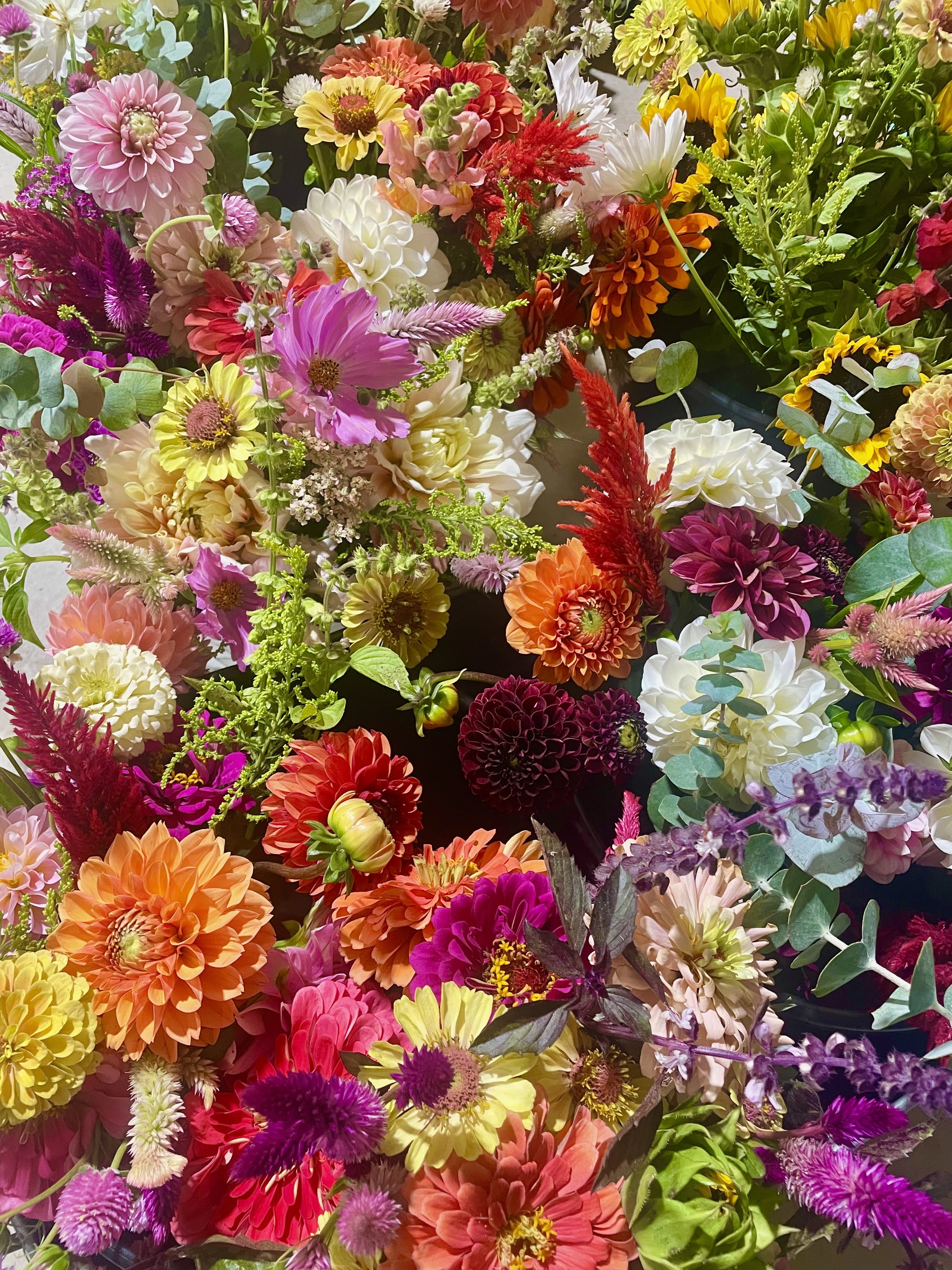 2026 Annual Subscription (18 bouquets + 2 Free Weeks)