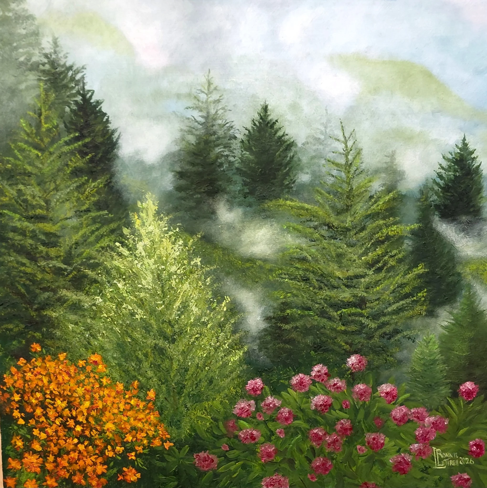 Lifting Fog in the Smokies