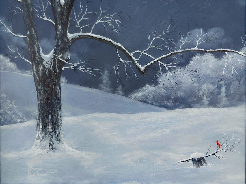 Snow Cardinal