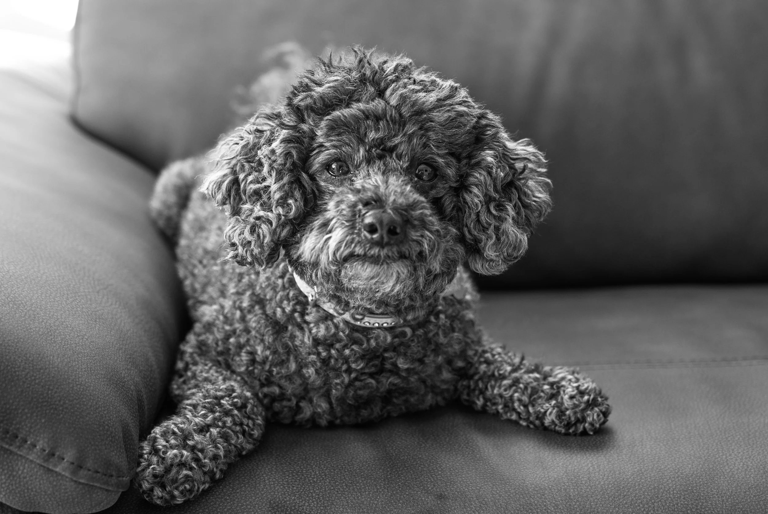 Barra 35 Bw a (1 of 1).jpg