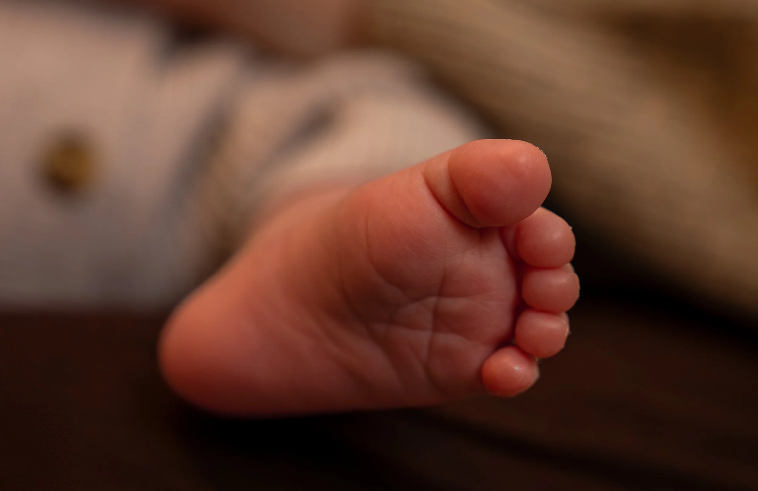 sonny 18 (1 of 1).jpg