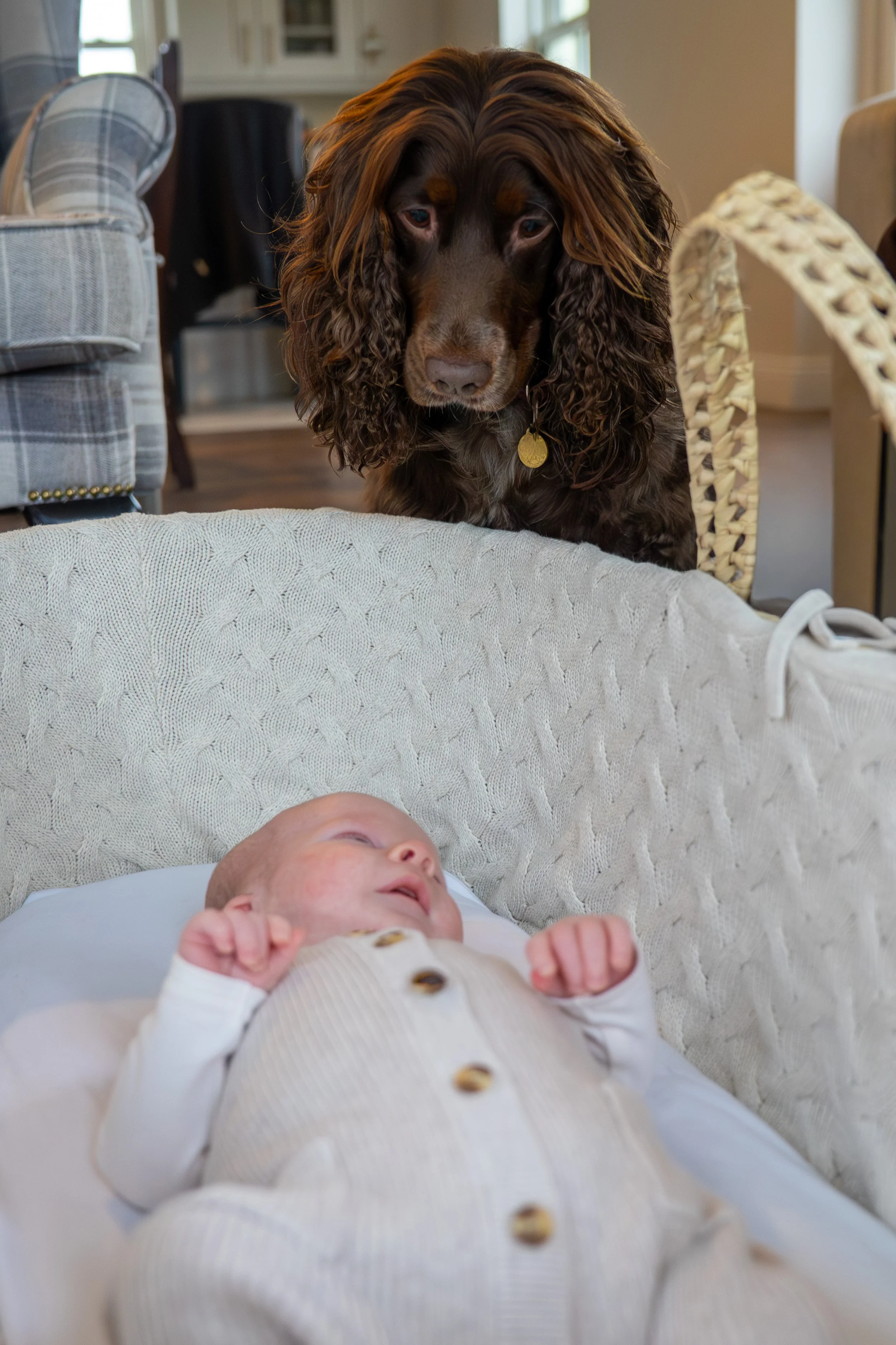 sonny 29 (2 of 2).jpg