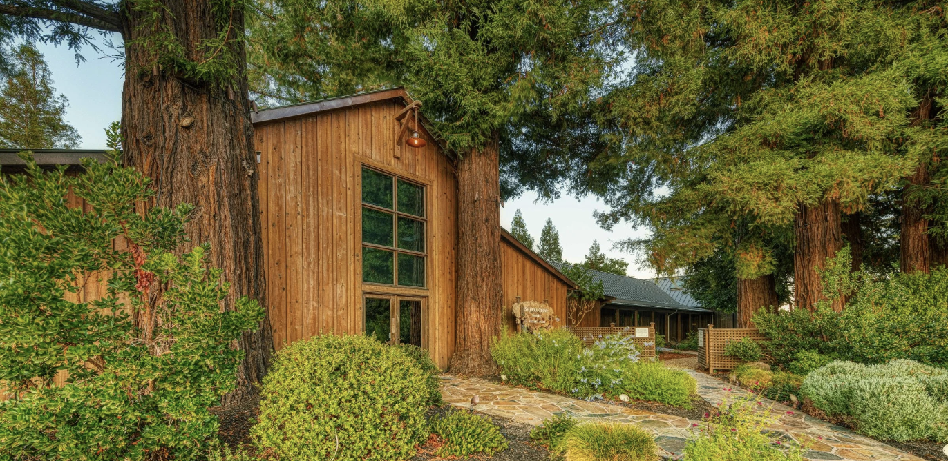 Learning the History Behind Sequoia Grove Winery