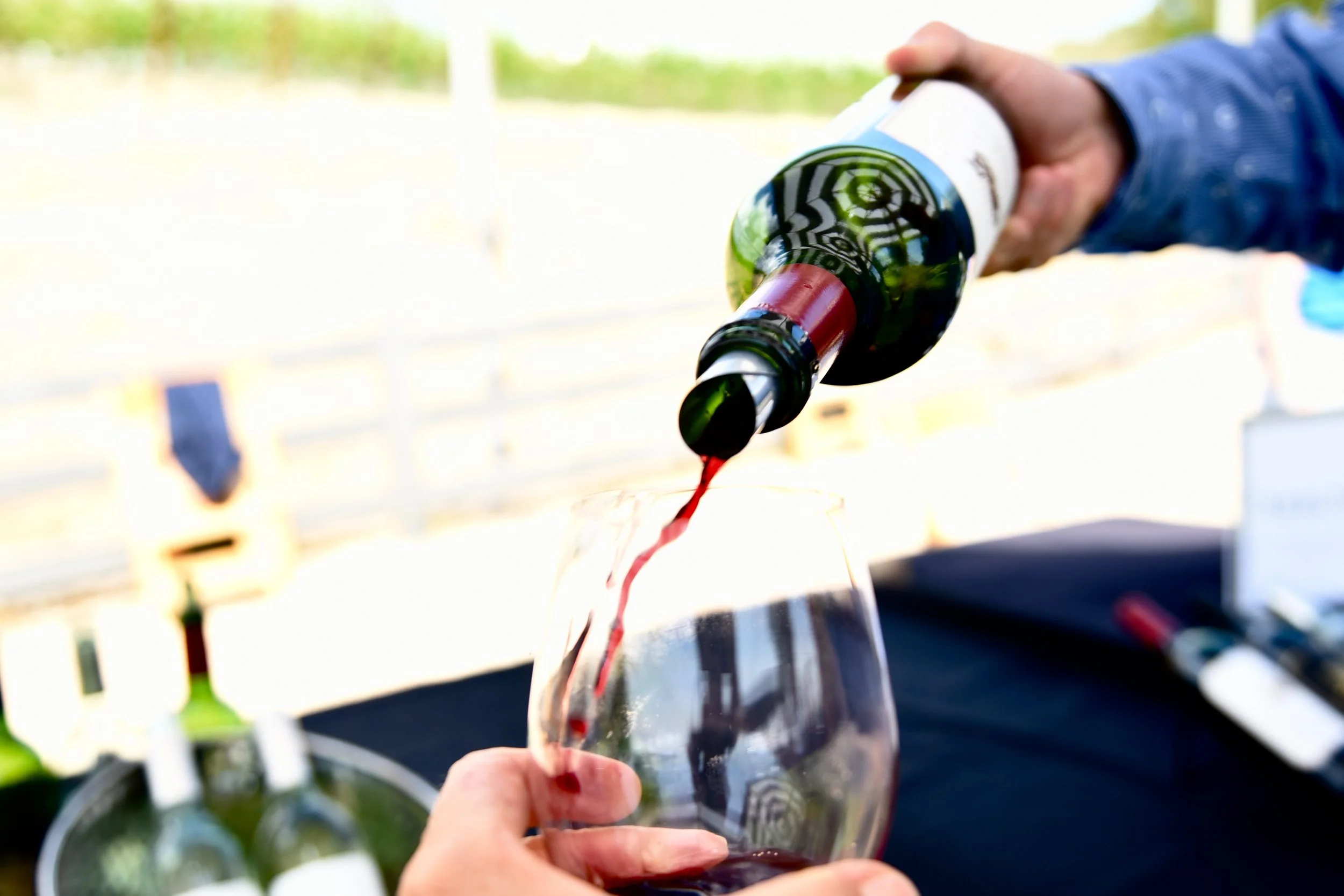 Taste of Atlas Peak 2025 // Photography by Hilary Brodey