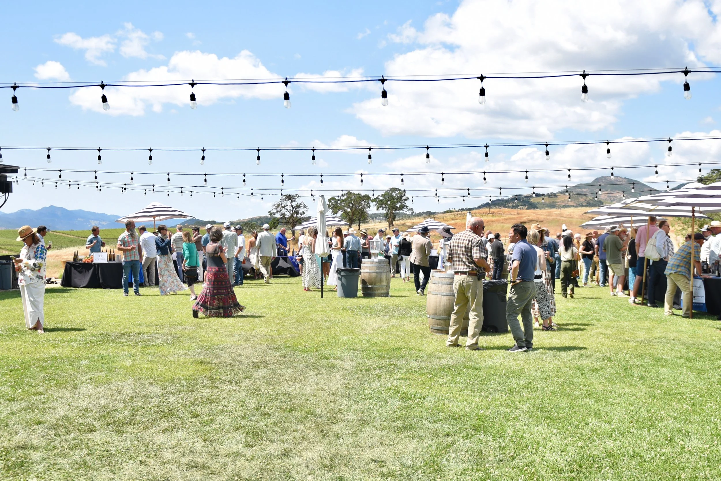 Taste of Atlas Peak 2025 // Photography by Hilary Brodey