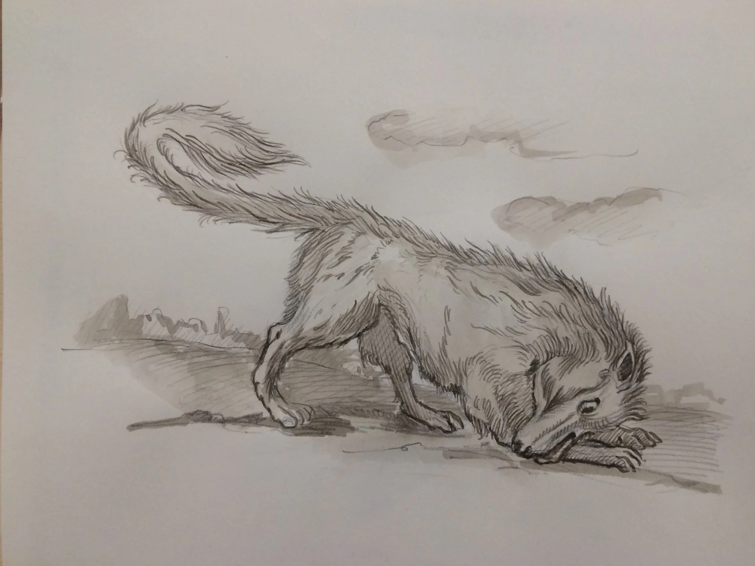 Black and white sketch of a squirrel on the ground with clouds in the background.