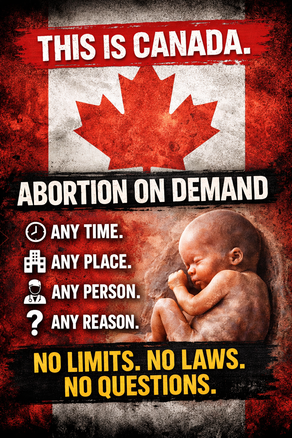 Canada Is the Warning. Missouri Is Next Unless We Pass the 2026 Amendment 3.