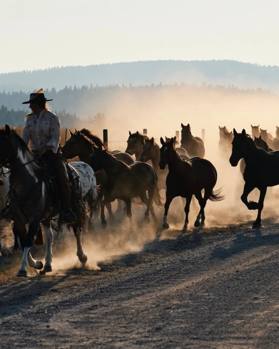 Gratitude on the go! 🦃 This year our team is planning several Thanksgiving celebrations - ahead, a few of our favorites for 2025: 

🐴Multi-Gen family (40 of them in total!) in Montana. From cowboy caviar to fly fishing, horseback rides to campfire 