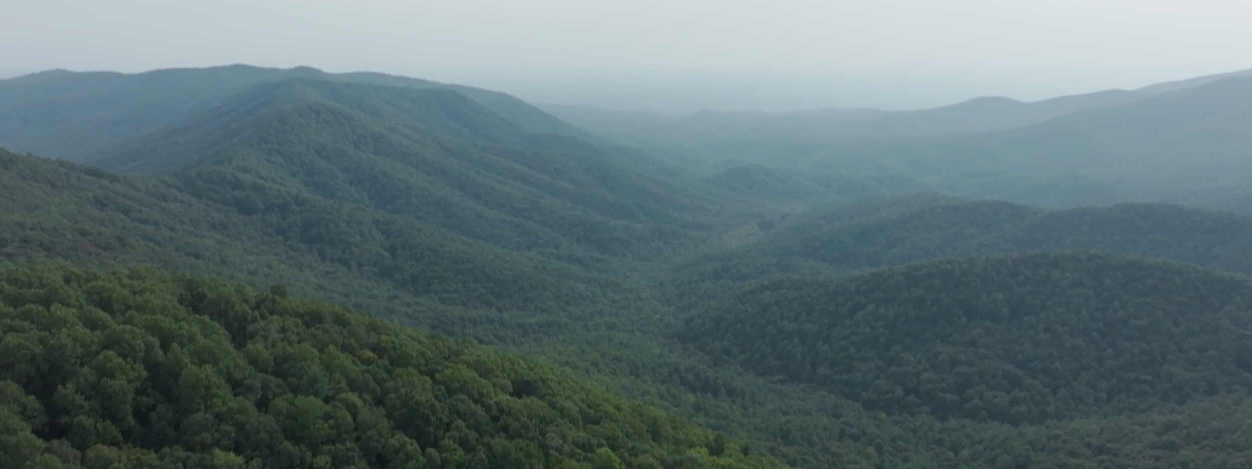 Screenshot 2024-10-03 at 5.47.11 PM.png